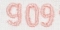 g09